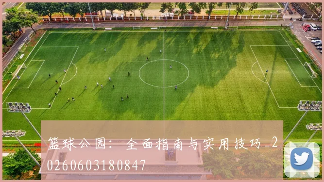 篮球公园：全面指南与实用技巧_20260603180847