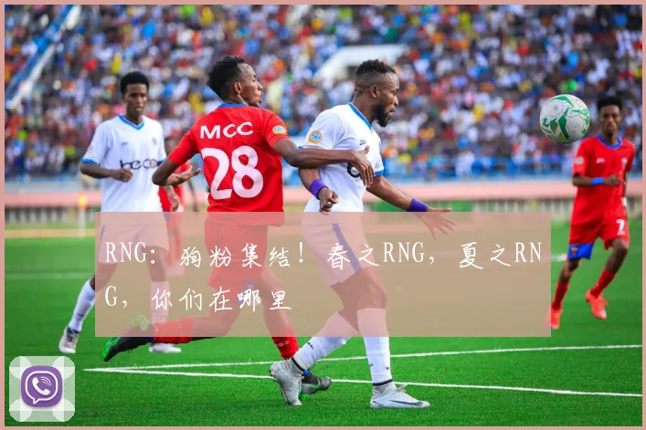 RNG：狗粉集结！春之RNG，夏之RNG，你们在哪里